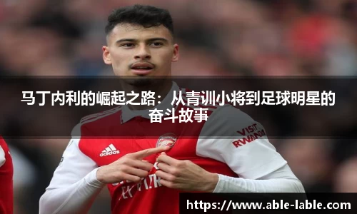 马丁内利的崛起之路：从青训小将到足球明星的奋斗故事